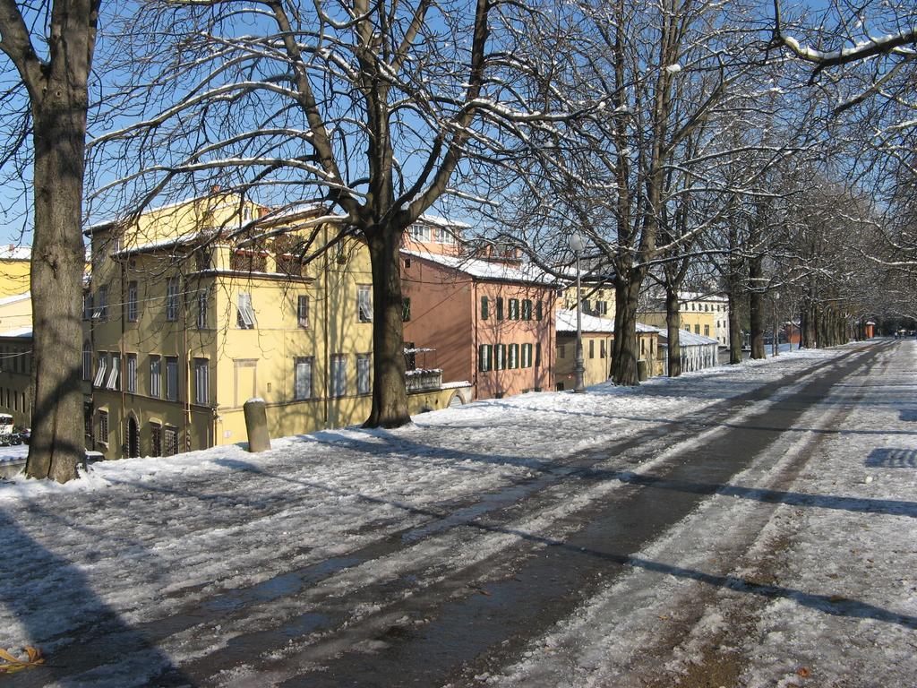 La Terrazza Fra Le Torri Apartment Лука Екстериор снимка