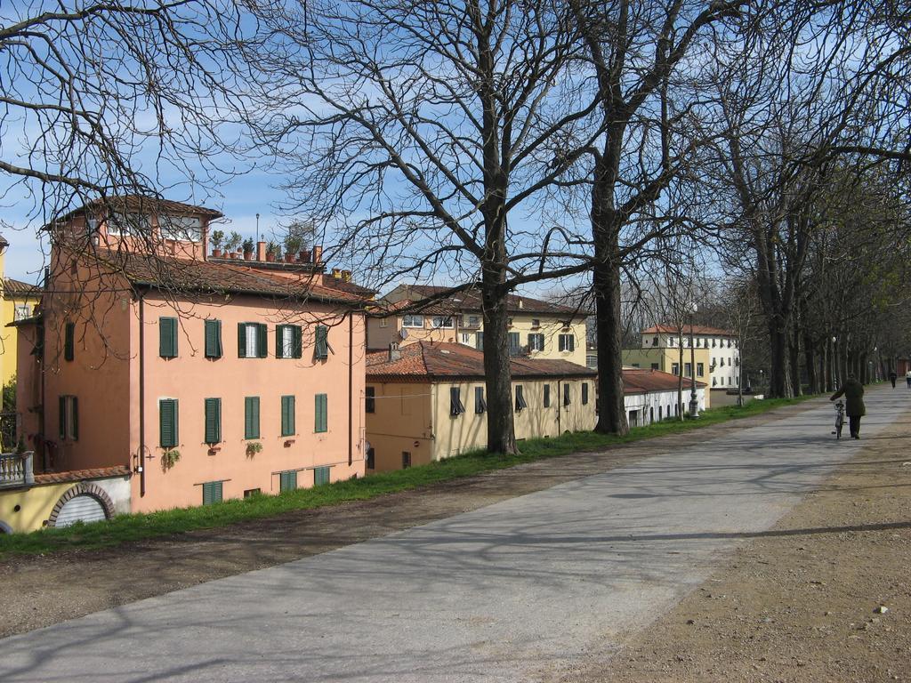 La Terrazza Fra Le Torri Apartment Лука Екстериор снимка